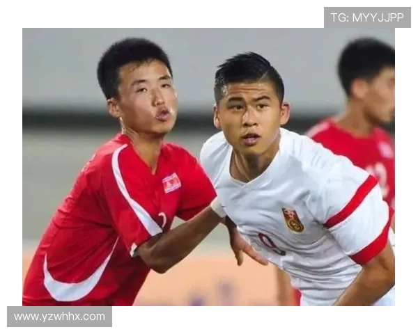 中国德甲球队分布及相关球员现状