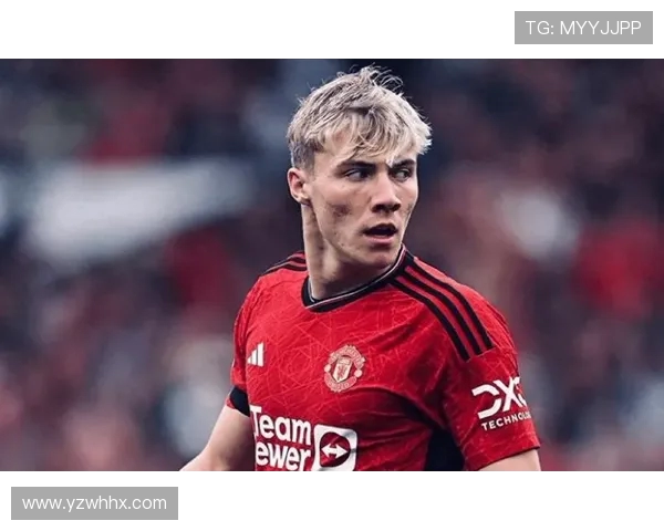 哪些国家的国家队中英超球员数量最多及原因分析