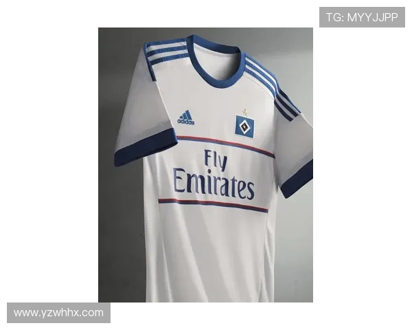 最新德甲球队球衣价值排行榜：哪支队最吸金？