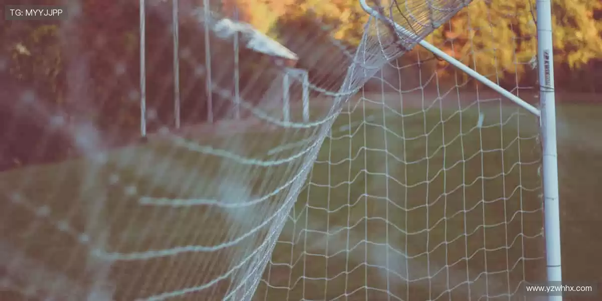 🏀【空中对决】热血扣篮，点燃你的篮球魂！